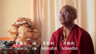 藥師佛心咒   明就仁波切親誦   Medicine Buddha Mantra chanted by Yongey Mingyur Rinpoche