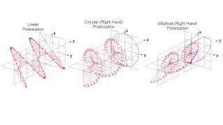 Linear, Circular and Elliptical Polarization Animation in a Single Shot