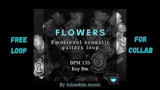 [FREE LOOP] Emotional acoustic guitars loop "Flowers" BPM 135 Key Bm