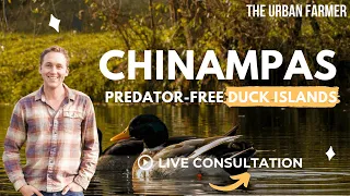 Chinampas - Predator Free Duck Islands - LIVE CONSULTATION [ LISTEN IN ]