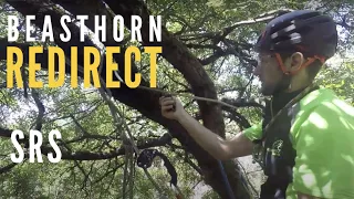 Beasthorn retrievable redirect for SRS tree climbing