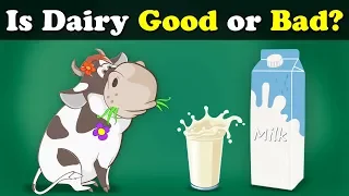 Is Dairy Good or Bad? + more videos | #aumsum #kids #science #education #children