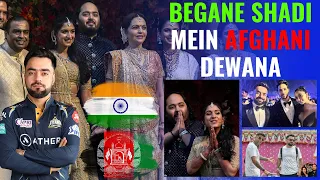 Begani Shade Mein Afghani Dewana | Rashid Khan Reached India for Anant Ambani Wedding