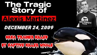 The Tragic Story of Alexis Martinez - Orca Trainer Killed by Captive Killer Whale