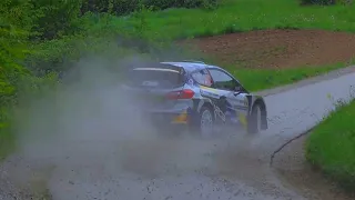 WRC Croatia Rally 2024  / Drifts / Cuts / Jumps / Max Attack / Full send / Mistake /