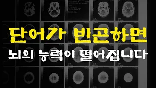 [2강] 뇌가 단어로 꽉 차야 합니다. 그래야 효율이 올라갑니다.