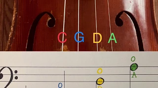 Learn to Read Notes (for Cello) in Less than 5 Minutes