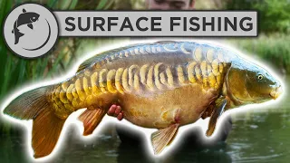 The Best Rig For Surface Carp Fishing (very effective)