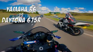 2017 YAMAHA R6 VS DAYTONA 675R TOP SPEED!