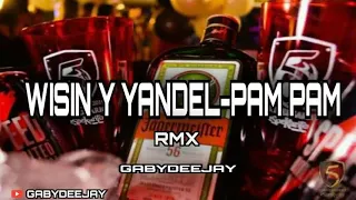 WISIN Y YANDEL- PAM PAM-RMX GABYDEEJAY