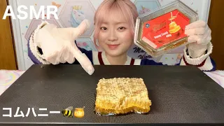 【ASMR】憧れのコムハニー(蜂の巣)  HONEYCOMB