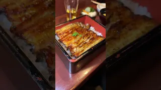 Crushing Unagi Dons at Shinjuku Unatetsu in Tokyo, Japan!