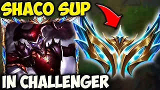 This is how you play Shaco Support in Challenger Elo