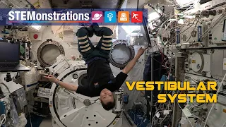 STEMonstrations: Vestibular System