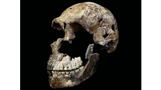 Homo naledi's startlingly young age opens up more questions about where we come from