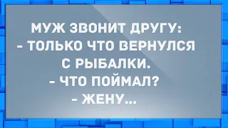 Мужик поймал жену с любовником. Анекдоты.