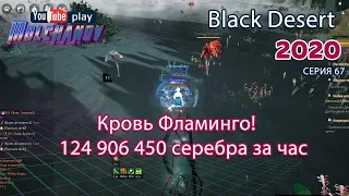 Кровь фламинго. Black Desert Фарм серебра 2020. Лучница.