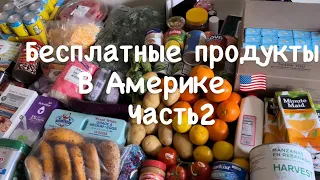 Бесплатная еда в Америке🇺🇸🇺🇸/Food bank in New Jersey/Помощь в Америке/