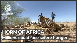 WFP: 20 million risk starvation as Horn of Africa drought worsens