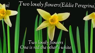 Two lovely flowers(Eddie Peregrina - Lylics )