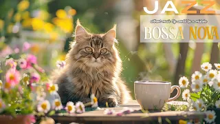 Morning Coffee Jazz   Soothing Jazz Instrumental Music & Relaxing Bossa Nova Music for Stress Relief