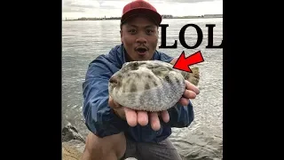 WHAT FISH IS THIS?!