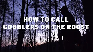 Turkey Calling Tips, Lesson 3: How to Call to Gobblers on the Roost