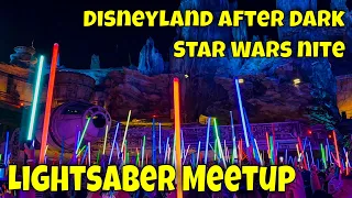 Lightsaber Meetup with Rey, Chewbacca, and First Order - Disneyland After Dark: Star Wars Nite