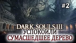 Dark souls 3 прохождение (Часть 5) босс Проклятое Великое древо