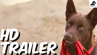 Koko: A Red Dog Story Official Trailer (2023) - Jason Isaacs, Sarah Woods, Toby Truslove