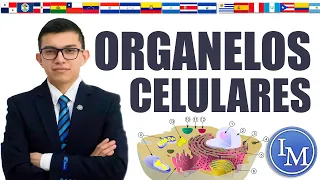 Biología Celular y Organelos Celulares | Día 4 | Congreso Mortaji Internacional