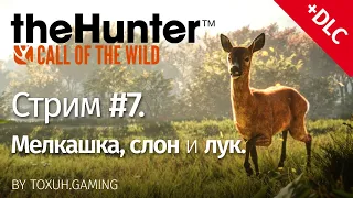 theHunter: Call of the Wild. Стрим №7. Свободная охота.