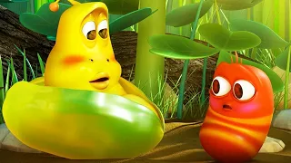 LARVA | LES BÉBÉS LARVES | Dessins animés pour enfants | WildBrain