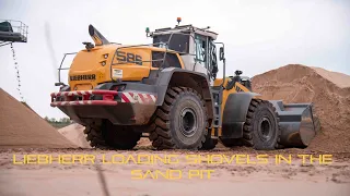 Liebherr L586 and L566 wheeled loaders handling sand