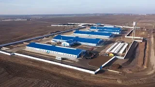 Экспериментальная база «Криничная» открыла в Гуринах новую молочно-товарную ферму