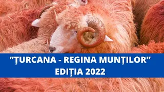 Țurcana, Regina Munților 2022. Cum a fost la sărbătoarea oierilor