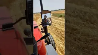 Swaraj 960 🚜 amazing performance with😍 Straw Reaper.!❤️#viral #swaraj #reels #video.