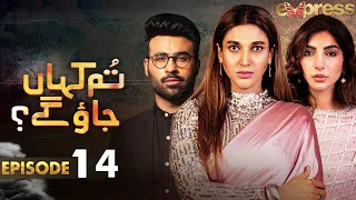 Pakistani Drama | Tum Kahan Jao Gay - Episode 14 | Sana Fakhar, Faizan Shaikh, Saleem Meraj | I2C1O