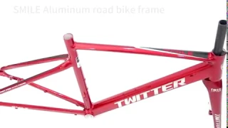 Bike factory TWITTER aluminum road bike frame SMILE disc brake