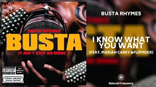 Busta Rhymes, Mariah Carey - I Know What You Want ft. Flipmode Squad  (432Hz)