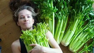 I drank celery juice for 30 days, and this is what happened...