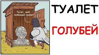 Лютые приколы. Туалет голубей. Угарные мемы