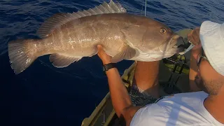 Cernia bianca 7.5kg: slow con esche siliconiche, ferrata in diretta