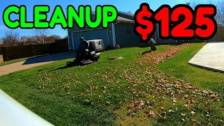 Full Leaf Cleanup $125 Under 1 Hour