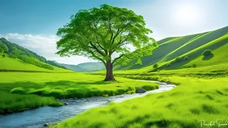 Relaxing music heals stress - anxiety and depressive conditions - Soothing music