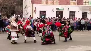 Capră - The Goat Dance (Traditional Romanian Performance)