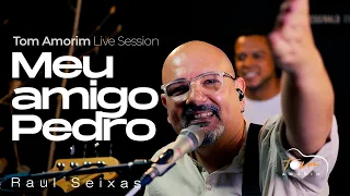 Raul Seixas - Meu Amigo Pedro (Tom Amorim) Cover Live Sessions