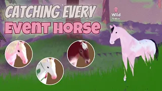 I Caught EVERY Valentine’s Event Horse + How I Caught Them | Wild Horse Islands