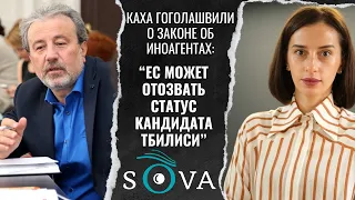 Каха Гоголашвили о законе об иноагентах: ЕС может отозвать статус кандидата Тбилиси