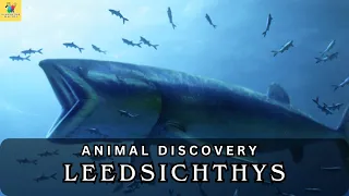 Leedsichthys: Illuminating the Ancient Underwater World